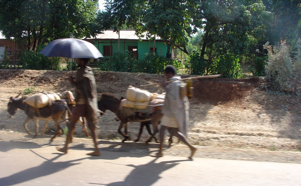 men and aya DSC01551