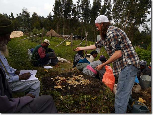 Building the heap_Etse_Fewus_Herbalists_11