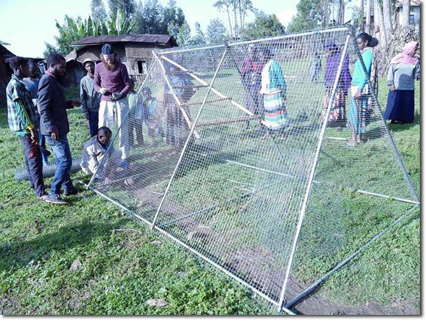 Making the chicken tractor_ Etse_Fewus_Herbalists_07